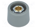 Knob; without pointer; polyamide; Shaft d: 6mm; Ø23x16mm; grey
