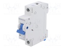 Circuit breaker; 230/400VAC; Inom: 40A; Poles: 1; Charact: B; 6kA