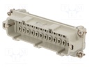 Connector: HDC; contact insert; male; C146,heavy|mate E; PIN: 24