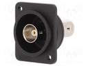 Coupler; BNC socket,both sides; 75Ω; black; Series: FT; 19x24mm