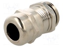 Cable gland; with earthing; M20; IP68; Mat: brass