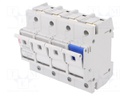 Fuse disconnector; D02; Mounting: for DIN rail mounting; 63A