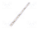 LED tape; 24V; 12mm; IP67; 17.3W/m; CRImin: 80; 116lm/W