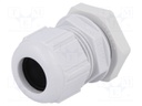 Cable gland; M25; IP68; Mat: polyamide; grey