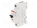 Circuit breaker; 230VAC; Inom: 1A; Poles: 1; DIN; Charact: C; 6kA