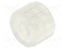 Adapter; transparent; Luer Lock; FIS-560548U-300ML