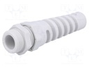 Cable gland; with strain relief; PG11; IP68; Mat: polyamide; grey