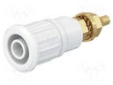 Socket; 4mm banana; 32A; 1kV; white; gold-plated; on panel