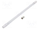 LED lamp; cool white; G13; 220/240VAC; 1150lm; 8W; 200°; 6500K