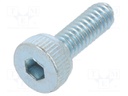 Screw; M2x6; DIN: 912; Head: cheese head; imbus; steel; zinc