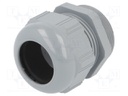 Cable gland; PG36; IP68; Mat: polyamide; dark grey