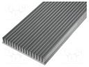 Heatsink: extruded; grilled; L: 1000mm; W: 150mm; H: 25mm; aluminium