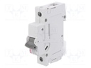 Circuit breaker; 230/400VAC; DIN; Charact: B; 10kA; IP20; 1÷25mm2