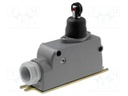 Limit switch; transversal plastic roller; SPDT; 6A; max.400VAC