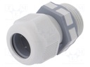 Cable gland; PG13,5; IP68; Mat: polyamide; grey; UL94V-2