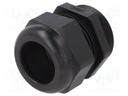 Cable gland; PG36; IP68; Mat: polyamide; black; UL94V-0