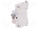 Switch-disconnector; Poles: 1; DIN; 20A; 250VAC; FR300; IP20