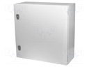 Enclosure: multipurpose; X: 600mm; Y: 600mm; Z: 250mm; CS; steel; grey