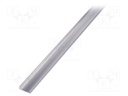 Profiles for LED modules; natural; L: 2m; aluminium; anodized