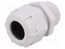 Cable gland; with long thread; M25; IP68; Mat: polyamide; grey