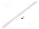 LED lamp; natural white; G13; 220/240VAC; 1150lm; 8W; 200°; 4000K