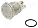 Switch: vandal resistant; Pos: 2; SPST-NO; 0.5A/220VAC; 2A/36VDC