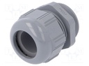 Cable gland; PG29; IP68; Mat: polyamide; dark grey