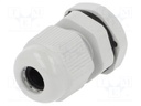 Cable gland; M12; IP67; Mat: polyamide; grey