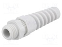 Cable gland; with strain relief; M12; IP68; Mat: polyamide; grey