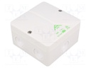 Enclosure: junction box; X: 93mm; Y: 93mm; Z: 55mm; polystyrene; IP65