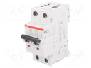 Circuit breaker; 400VAC; Inom: 32A; Poles: 2; DIN; Charact: C; 6kA