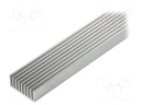 Heatsink: extruded; grilled; natural; L: 1000mm; W: 33mm; H: 14mm