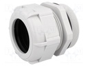 Cable gland; M63; IP68; Mat: polyamide; grey; UL94V-2