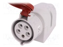 Connector: AC supply 3-phase; socket; female; 32A; 400VAC; IP44