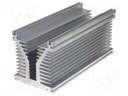 Heatsink: extruded; Y; L: 300mm; W: 126mm; H: 136mm; aluminium; plain