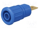 Socket; 4mm banana; 32A; 1kV; blue; gold-plated; on panel