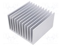 Heatsink: extruded; grilled; natural; L: 100mm; W: 100mm; H: 60mm