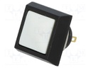 Switch: vandal resistant; Pos: 2; SPST-NO; 2A/36VDC; IP65; OFF-(ON)