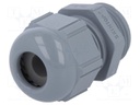 Cable gland; PG11; IP68; Mat: polyamide; dark grey