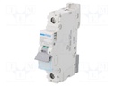 Circuit breaker; 230/400VAC; Inom: 20A; Poles: 1; DIN; Charact: C