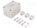 Enclosure: junction box; X: 65mm; Y: 94mm; Z: 57mm; polystyrene; IP54