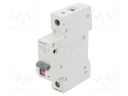 Circuit breaker; 230/400VAC; Inom: 25A; Poles: 1; DIN; Charact: C