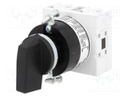 Switch: cam switch; Stabl.pos: 2; 16A; 0-1; Poles: 1; Pos: 2; -25÷55°C