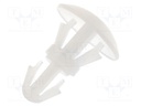 Assembly stud; polyamide; L: 3.2mm; snap fastener; Colour: natural