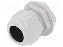 Cable gland; M32; IP68; Mat: polyamide; light grey